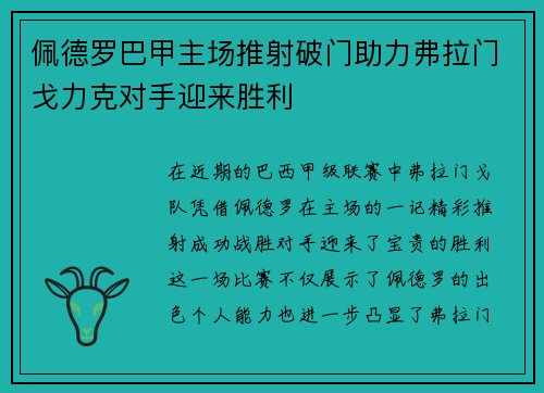 佩德罗巴甲主场推射破门助力弗拉门戈力克对手迎来胜利